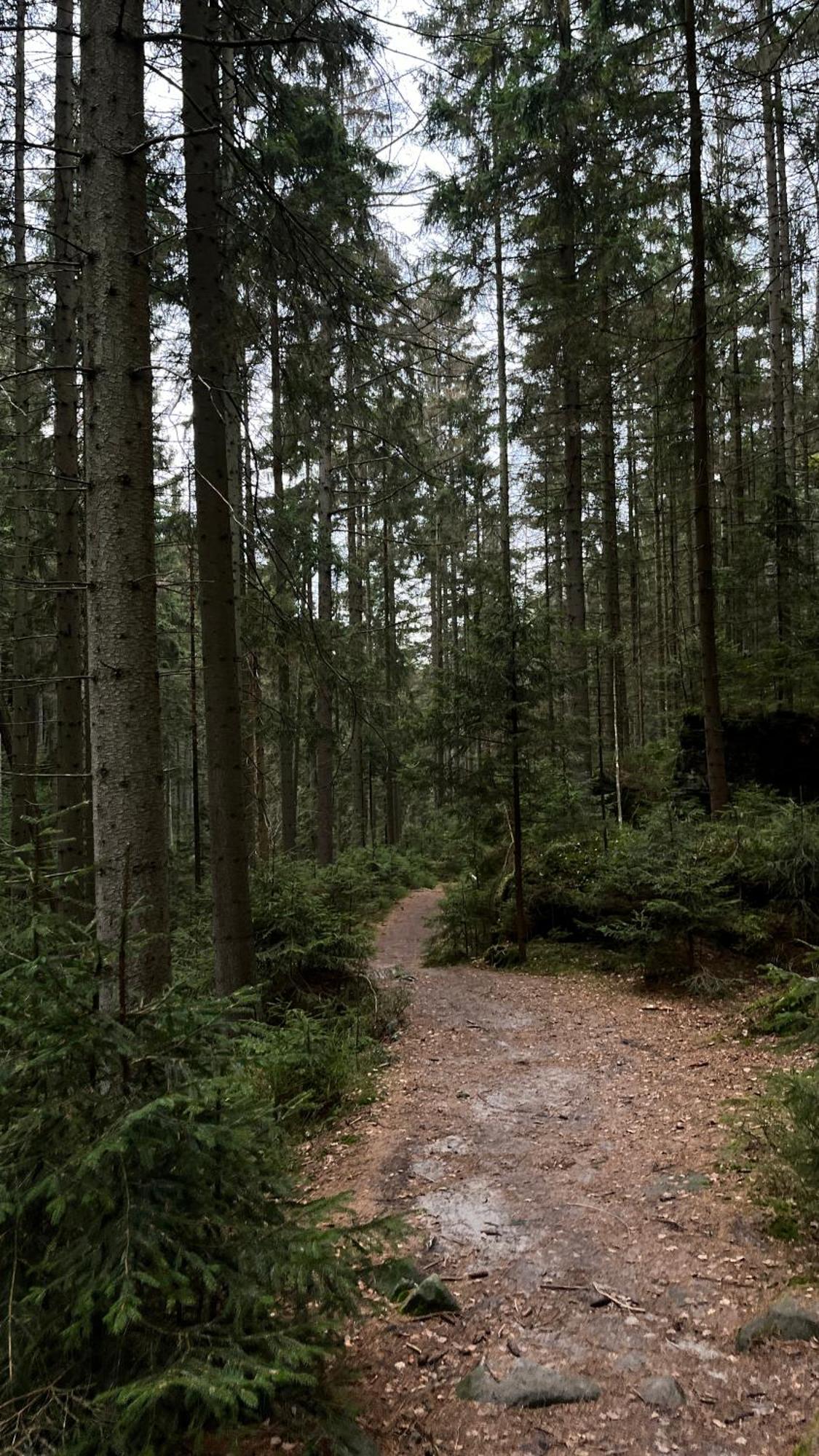 Feelmountains Teplice nad Metují Exterior foto