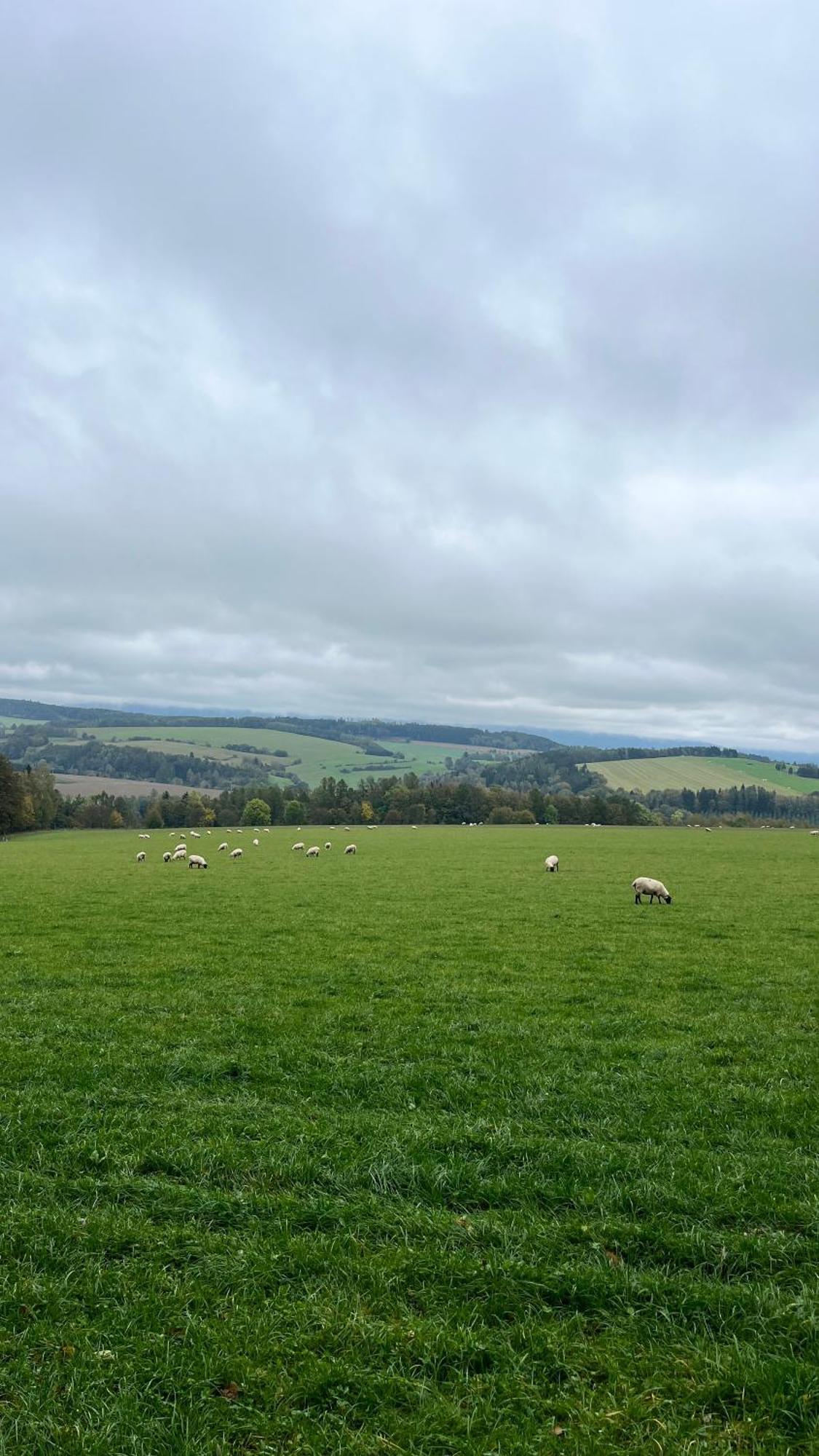 Feelmountains Teplice nad Metují Exterior foto